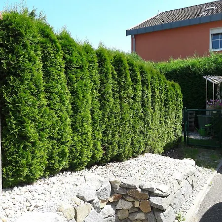 Haus Engler Apartment
