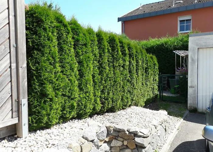 Haus Engler Apartmán